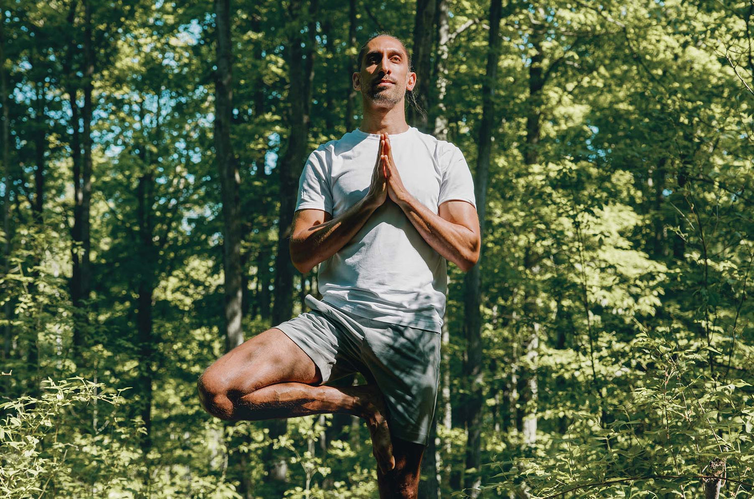 The Truth Series: Jaffer