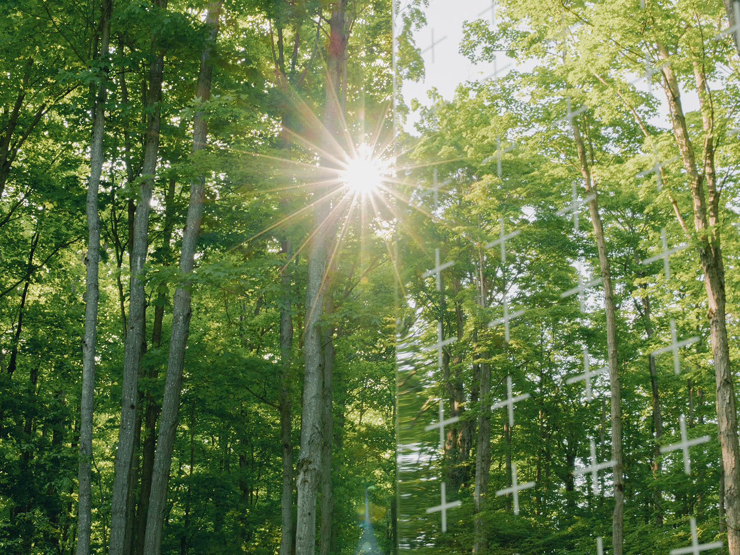 Introducing b, halfmoon: The union of sister brands B Yoga & Halfmoon