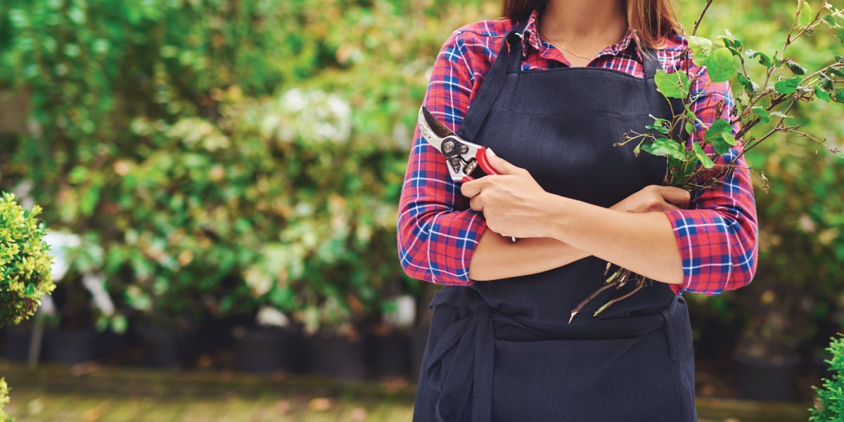 Halfmoon - Prune Your Life — Make Space For What's Really Important