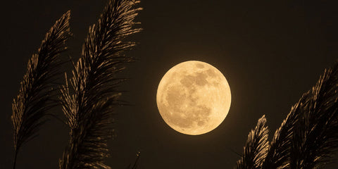 Harvest Moon Meditation with Kellie Paroginog