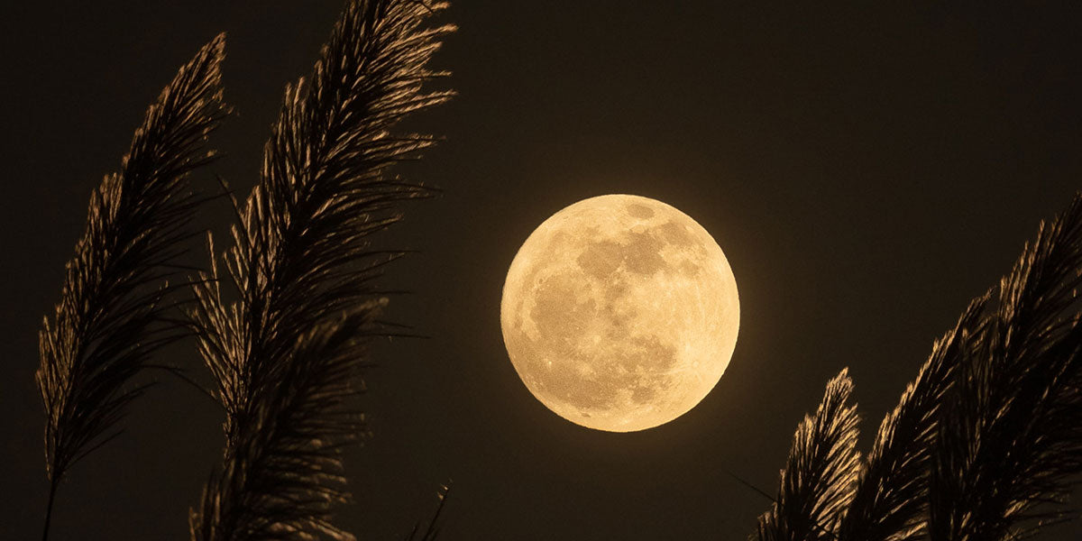 Harvest Moon Meditation with Kellie Paroginog